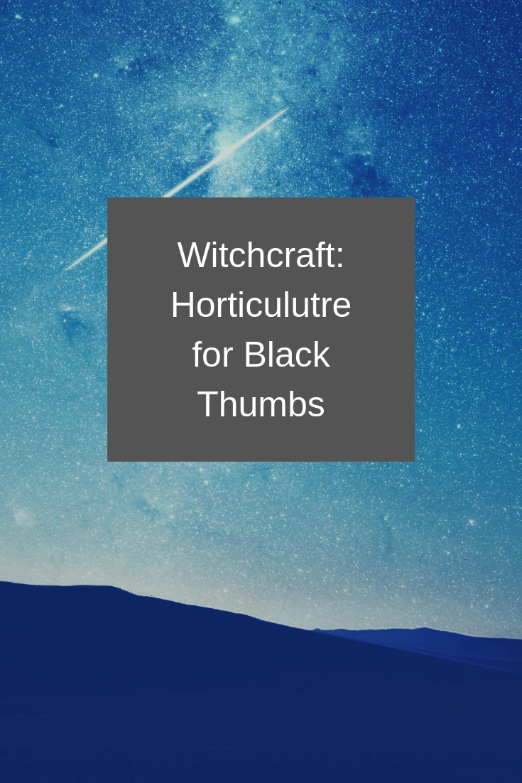 Witchcraft: horticulture for the black thumb…